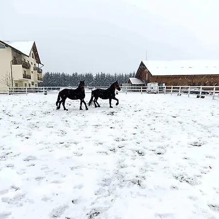 Отель Complex Panicel 3*