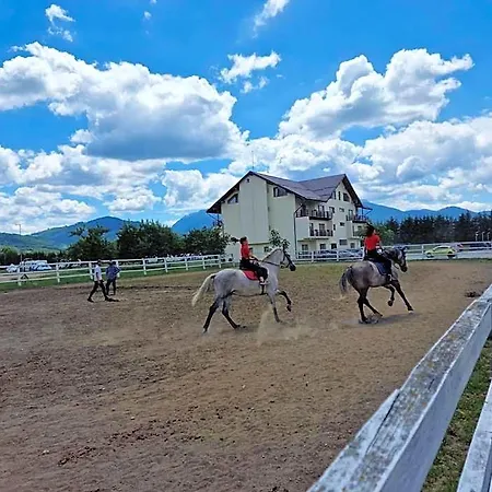 Complex Panicel Отель 3*